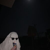 dandikyazilimci profil fotoğrafı
