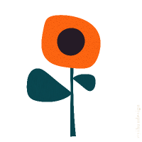 ctarikorpak profil fotoğrafı