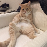 furkanozkan profil fotoğrafı