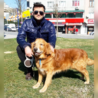 ferhatarslanhan profil fotoğrafı