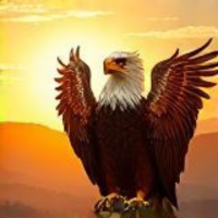 ufuk2561 profil fotoğrafı
