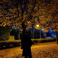 seymanuru profil fotoğrafı
