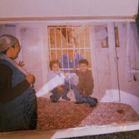 akinkomurcuoglu profil fotoğrafı