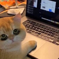baykustasarimci profil fotoğrafı