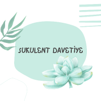 sukulentdavetiye profil fotoğrafı