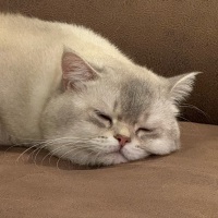 bybinbir profil fotoğrafı