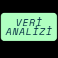 verianalizii profil fotoğrafı