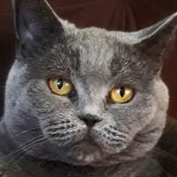 ahmetcanbaydar profil fotoğrafı