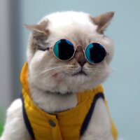 mehmet_yigit88 profil fotoğrafı
