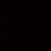 murattutum profil fotoğrafı