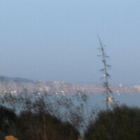 aasliaa profil fotoğrafı