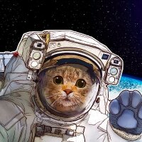 youngsoft profil fotoğrafı