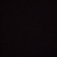petekbas profil fotoğrafı