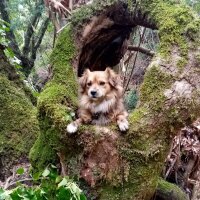 lilith90 profil fotoğrafı