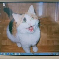 ahmetfgunaltay profil fotoğrafı