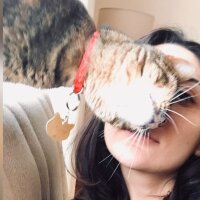 ecemxerdal profil fotoğrafı