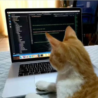 enhardemir profil fotoğrafı
