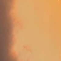 boradoksat profil fotoğrafı