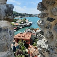 daphneknk profil fotoğrafı