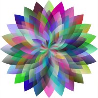gizemkekec profil fotoğrafı