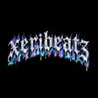 xerionthebeat profil fotoğrafı