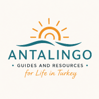 antalingo profil fotoğrafı