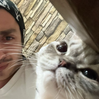quitsey profil fotoğrafı