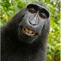 talha0o profil fotoğrafı