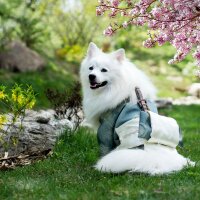 feyzaaanrcbn1 profil fotoğrafı