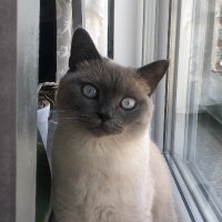 burakakaslan profil fotoğrafı
