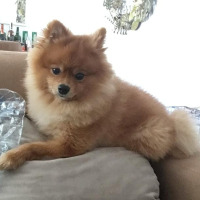 ayseelif profil fotoğrafı
