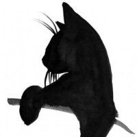 purpleunicorn profil fotoğrafı
