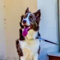 efearikboga profil fotoğrafı