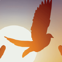umutunlu98 profil fotoğrafı
