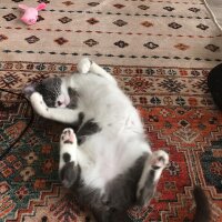 joseffff profil fotoğrafı