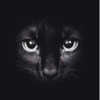ahmetozpamuk profil fotoğrafı