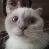 nesibekarateke profil fotoğrafı