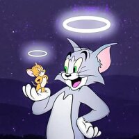 mertydesign profil fotoğrafı