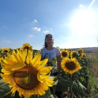 helincp profil fotoğrafı