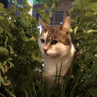 aeyilmaz profil fotoğrafı