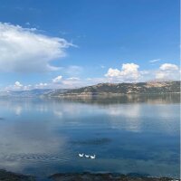 ayazozbilen profil fotoğrafı