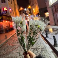 aycakocak1 profil fotoğrafı