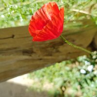 mms_eren profil fotoğrafı