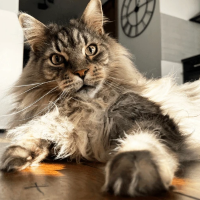 osmandlk profil fotoğrafı