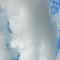 rojguld profil fotoğrafı