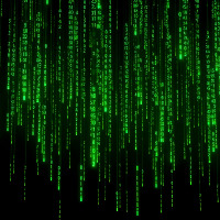 codnet