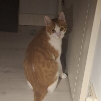 nehirparlak1 profil fotoğrafı