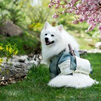 aycagungor1 profil fotoğrafı