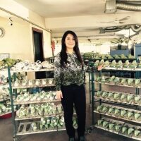 aylinkutluu profil fotoğrafı