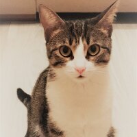 semaezber profil fotoğrafı